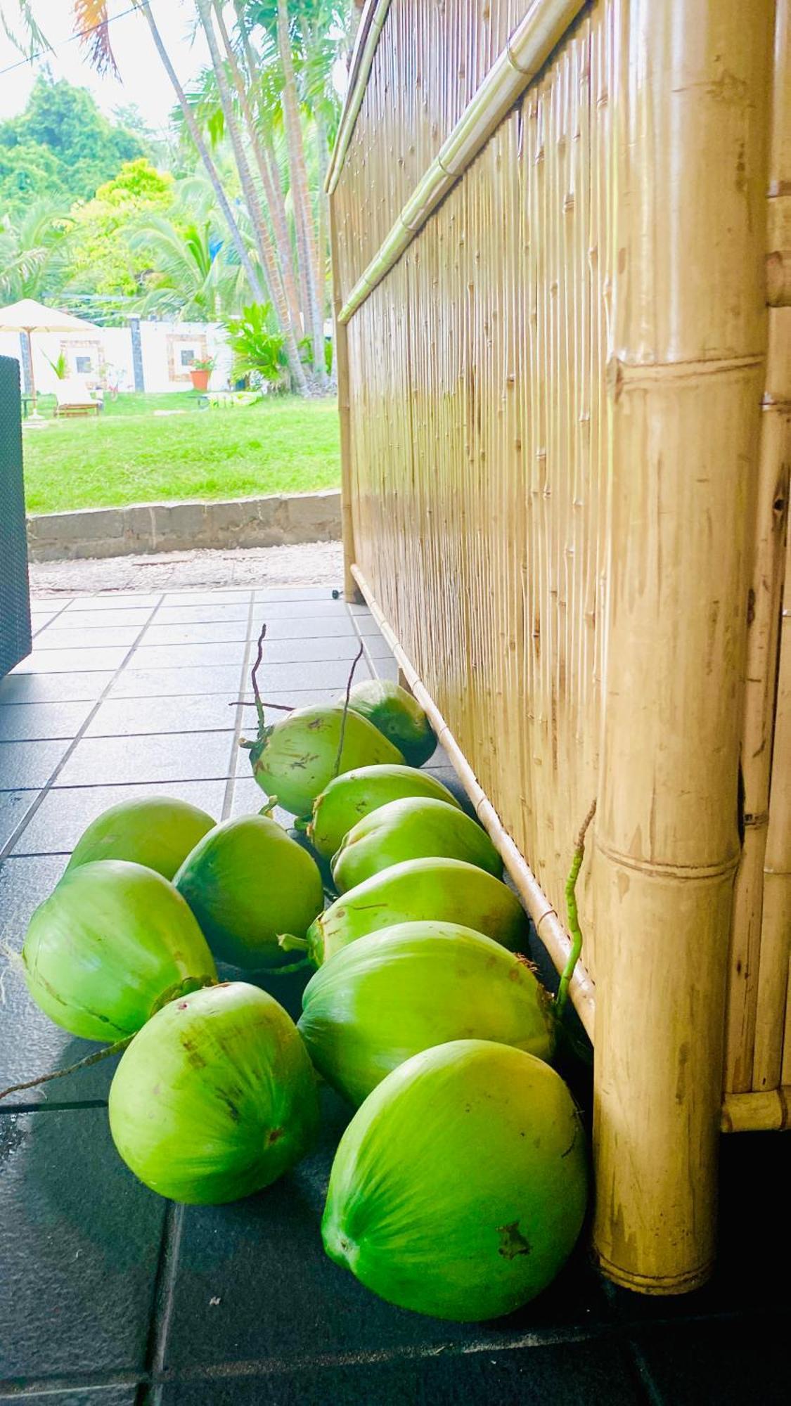 Jaguar House Resort Muine Mui Ne Exterior foto