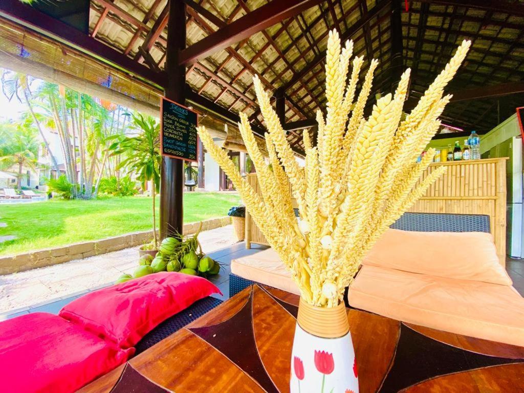 Jaguar House Resort Muine Mui Ne Exterior foto